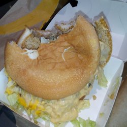 McDonald's - An utterly inedible Big Mac.