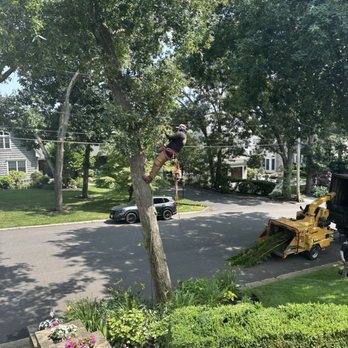 TreeMasters - Tree Services Near Me - Brick, New Jersey TreeMasters - Tree Services Near Me - Brick, New Jersey