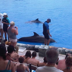 Aqualand