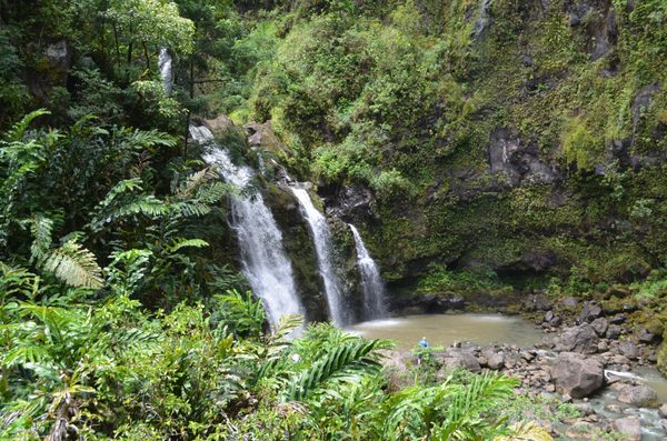 Upper Waikani Falls by null