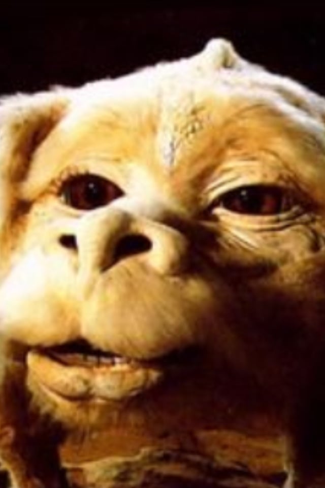 Bissonet Plaza School Daycare - childcare center in Metairie, LA