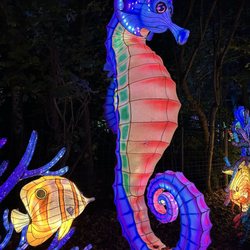 Connecticut's Beardsley Zoo - Lantern Festival