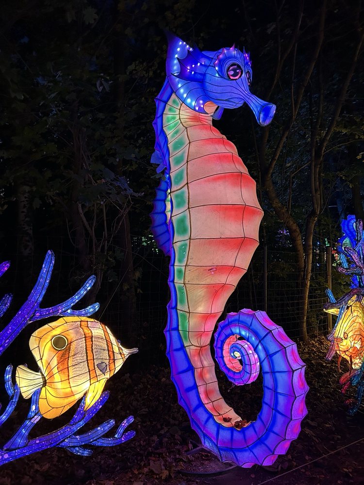 Connecticut's Beardsley Zoo