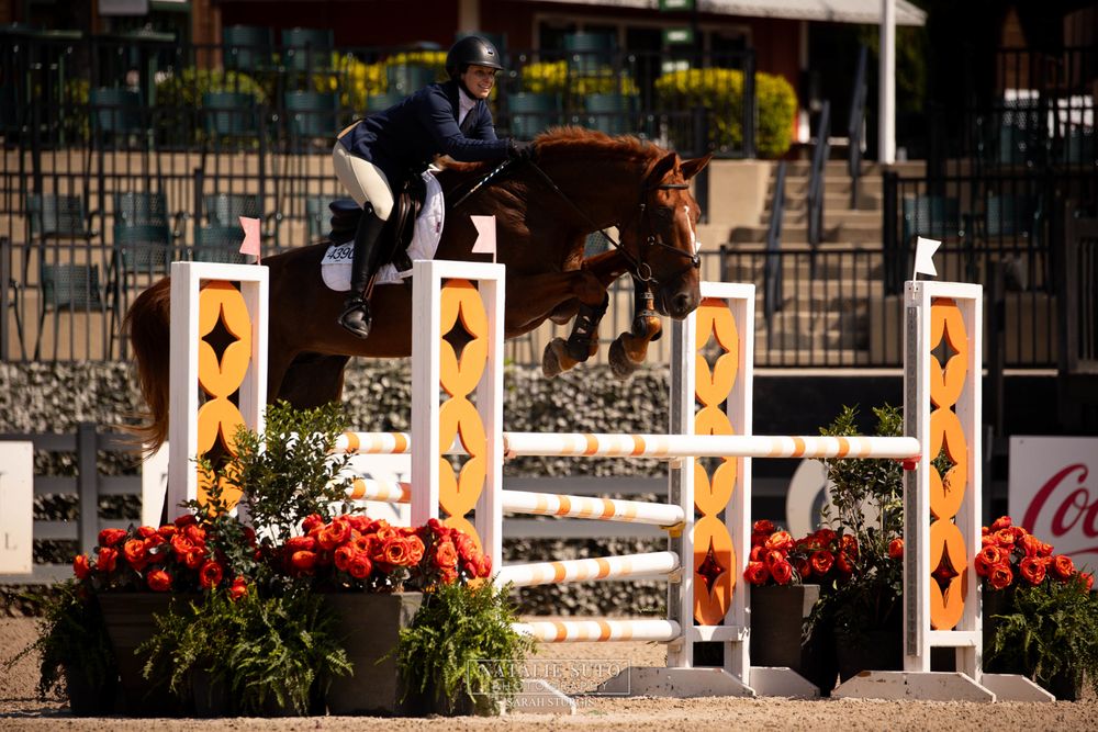 Night & Day Riding - equestrian in Greenville, SC