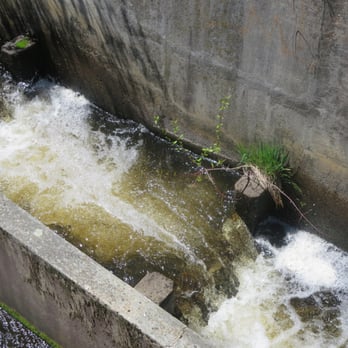 Newcomb's Cafe at Montilio’s - Fish ladder outside restaurant - Breakfast & Brunch Near Me - Braintree, Massachusetts Newcomb's Cafe at Montilio’s - Fish ladder outside restaurant - Breakfast & Brunch Near Me - Braintree, Massachusetts