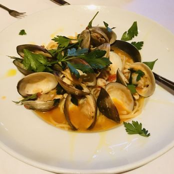 Lo Coco's - Clam pasta - Italian Near Me - Berkeley, California Lo Coco's - Clam pasta - Italian Near Me - Berkeley, California