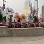 Nashville Music Garden