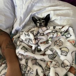My muffin loves this blanket!