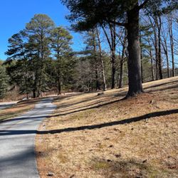 Oklawaha Greenway - Trail