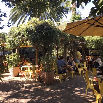 Sunflower Caffe - Coffee & Tea Near Me - Sonoma, California Sunflower Caffe - Coffee & Tea Near Me - Sonoma, California