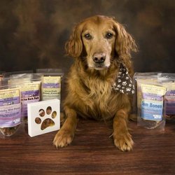 Drool Central - Drool-Central-Probiotic-Dog-Treats-Made-In-Alaska-Anchorage-AK