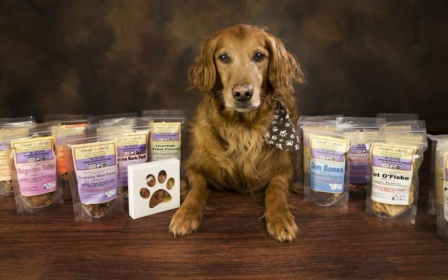 DROOL CENTRAL Updated September 2024 Request Information