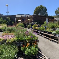 Sloat Garden Center