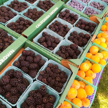 Tehachapi Farmer's Market - Fresh fruit! - Farmers Market Near Me - Tehachapi, California Tehachapi Farmer's Market - Fresh fruit! - Farmers Market Near Me - Tehachapi, California