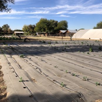 The Farm At South Mountain - Planting area - Farms Near Me - Phoenix, Arizona The Farm At South Mountain - Planting area - Farms Near Me - Phoenix, Arizona