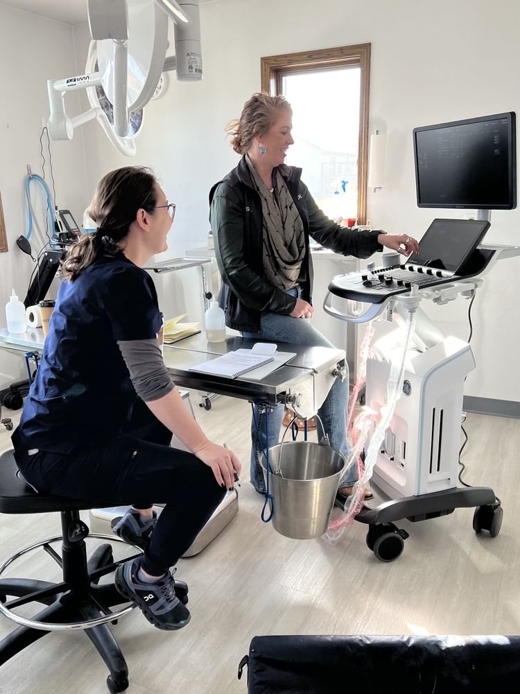 SPEARFISH ANIMAL HOSPITAL Updated October 2024 13 Photos 3010 7th