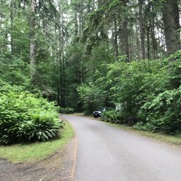 Road through campground