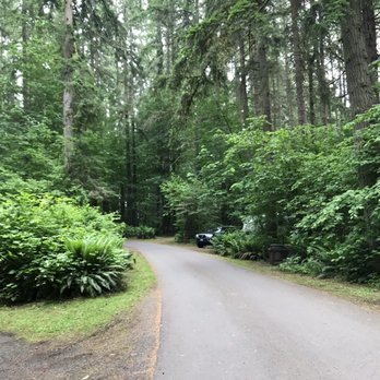 Seaquest State Park - Road through campground - Hiking Near Me - Castle Rock, Washington