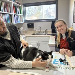 Monroe Road Animal Hospital - During the consult Kikki was calm and appreciative of the pats from the team.