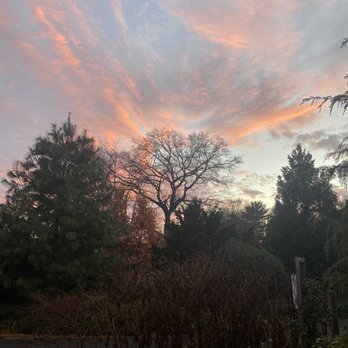 Brooklyn Botanic Garden - Red skies above. - Botanical Gardens Near Me - Brooklyn, New York