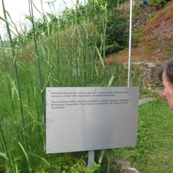 Römische Kelteranlage Erden