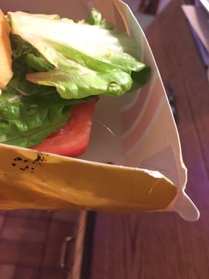 PLNT Burger by null