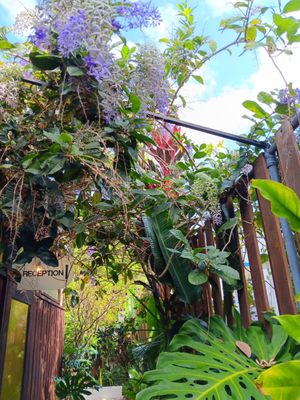 DREAMCATCHER by DW - Adults Only by null