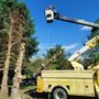 Smeltzer's Tree Service