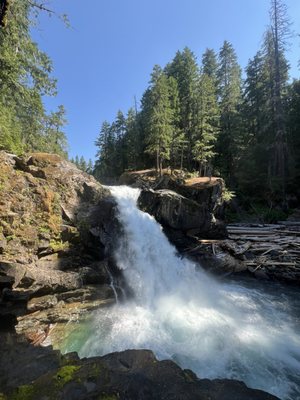 Ohanapecosh Campground by null