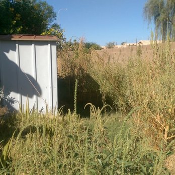 ABC Landscaping - Before (side yard) - Tree Services Near Me - Mesa, Arizona