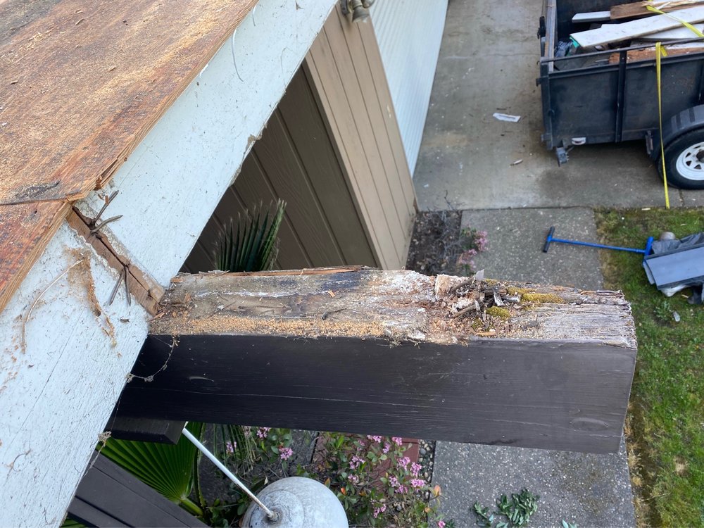 Slide of Freeman Roofing