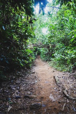 Nagkalit-kalit Waterfalls by null