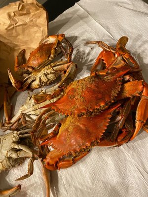 Crab Corner Maryland Seafood House by null
