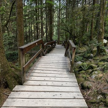 Lynn Canyon Park - Parks Near Me - North Vancouver, British Columbia