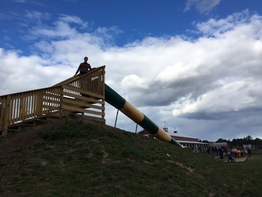 Hank's Pumpkintown by null