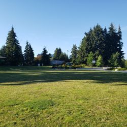 Surrey Downs Park
