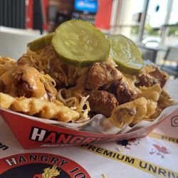 Hangry Joe's Tysons Corner Hot Chicken & Wings - Loaded Fries