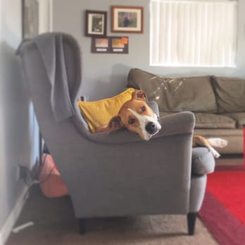 IKEA - This chair came from ikea - Home Decor Near Me - Burbank, California IKEA - This chair came from ikea - Home Decor Near Me - Burbank, California