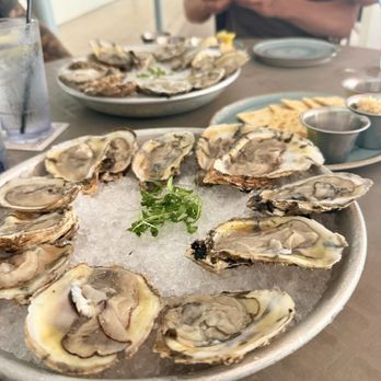 Beach House Waterfront Restaurant - Chef's Choice Fresh Oyster - American Near Me - Bradenton Beach, Florida