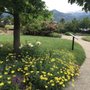 Photo of Water Wise Landscape Design