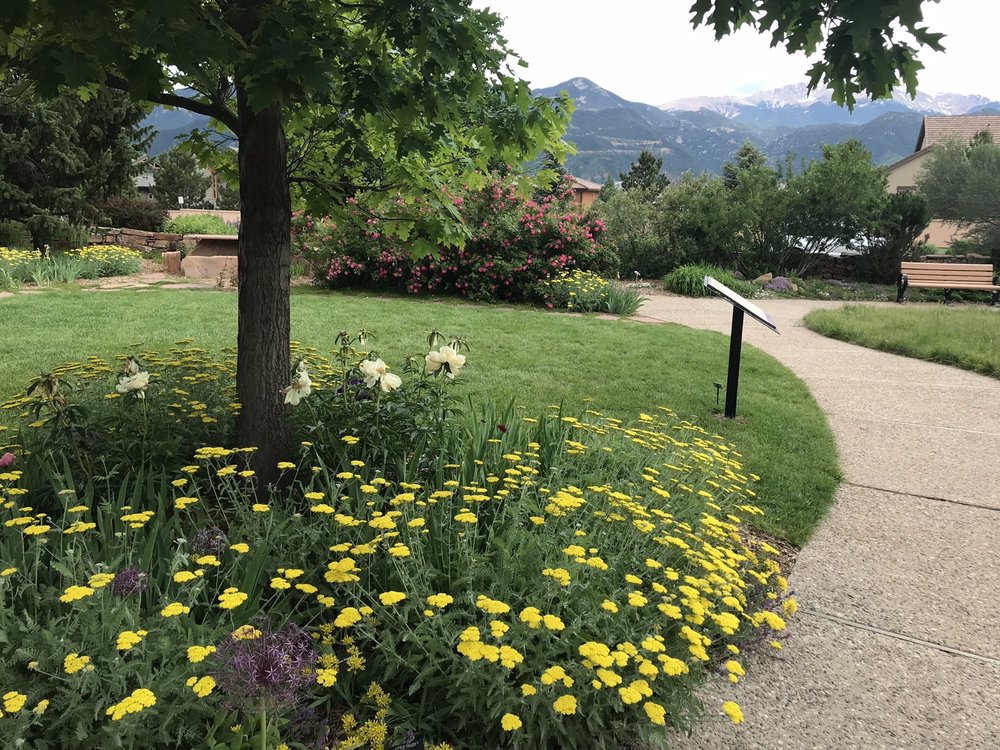 WATER WISE LANDSCAPE DESIGN Updated August 2024 2855 Mesa Rd