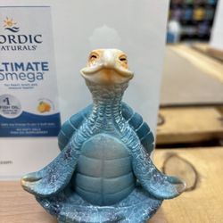 Sprouts Farmers Market - Turtle in yoga stance