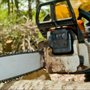 Photo of Emigdio Tree Service