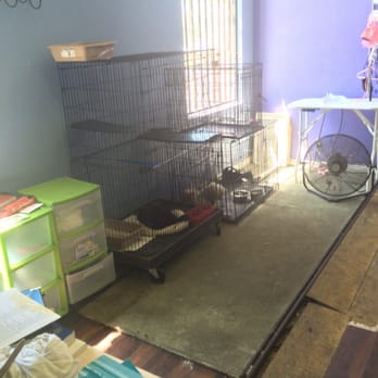 Discount Pets - Pet Groomers Near Me - Anaheim, California Discount Pets - Pet Groomers Near Me - Anaheim, California