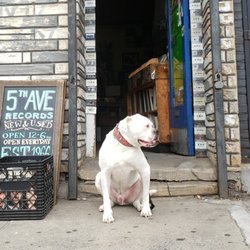 Fifth Avenue Records & Tapes