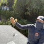 Optimal Wildlife Removal