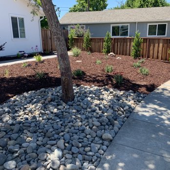 Opulands Landscape Design & Construction - Front yard - Landscaping Near Me - Campbell, California