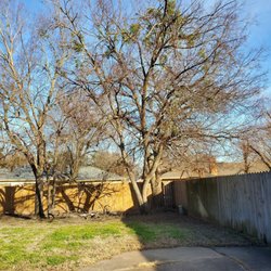 Legacy Tree Service
