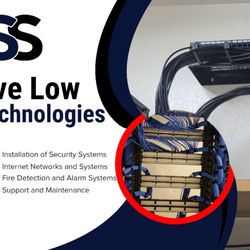 DSS