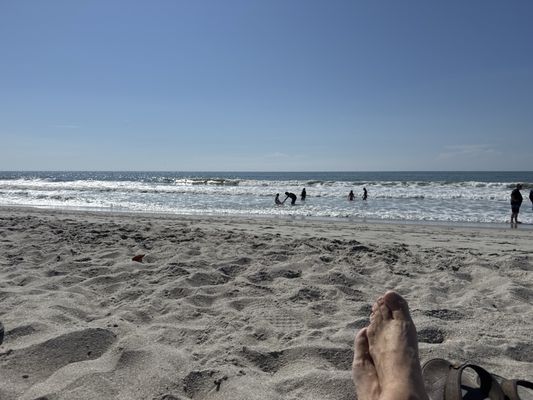 Myrtle Beach State Park by null